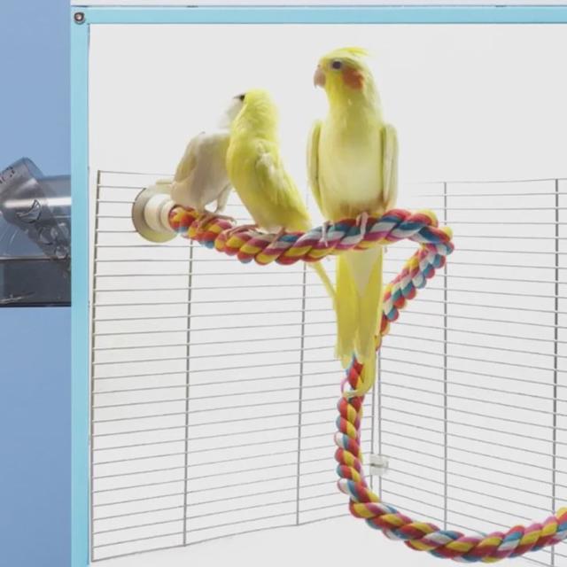 앵무새 컬러 횃대 장남감 그네 휴식공간 1P 60cm