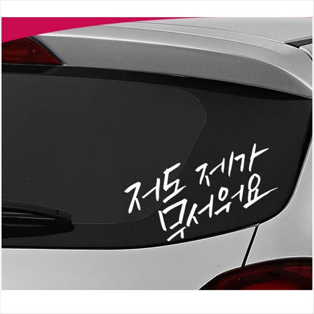 D24 초보운전 저도 제가 무서워요 데칼스티커 TKCH-09