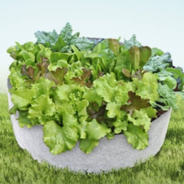 부직포화분 80x30cm 그레이 고구마화분 미니텃밭 묘목화분