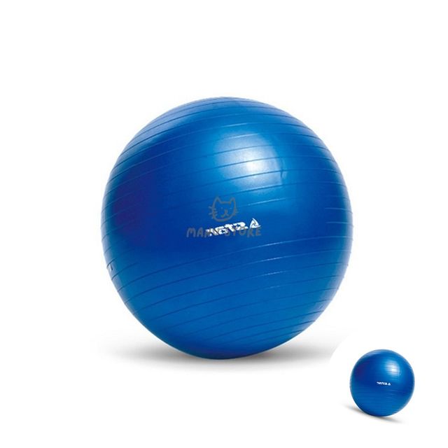 스트레칭볼 스트래칭짐볼 짐볼 블루 45cm