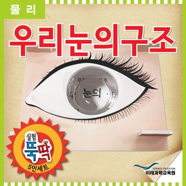 실험뚝딱 우리눈의구조 5인세트