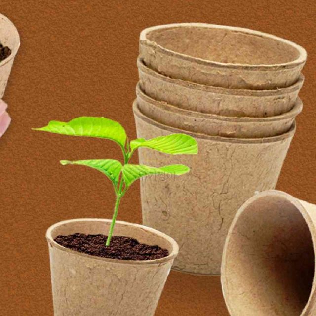 모종 종이화분 20p 씨앗종이화분