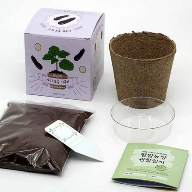 모종화분 가지 텃밭 베란다 화분