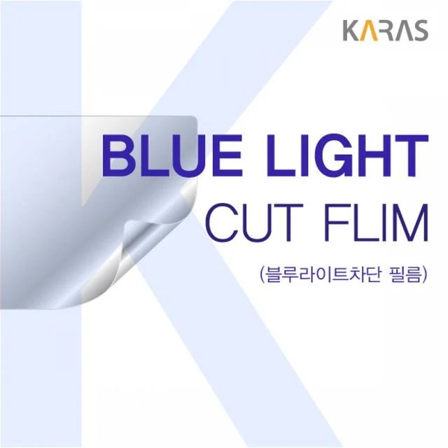 TBZ 아이패드 미니5 블루컷필름K