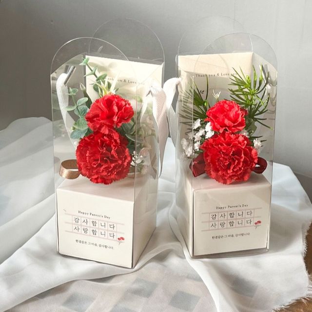 카네이션 브로치 코사지 올인원 선물 패키지 스승의날