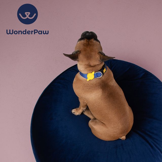 WonderPouf M사이즈 블루 애견 쿠션 - 차분한 색상의 반려동물 휴식 매트