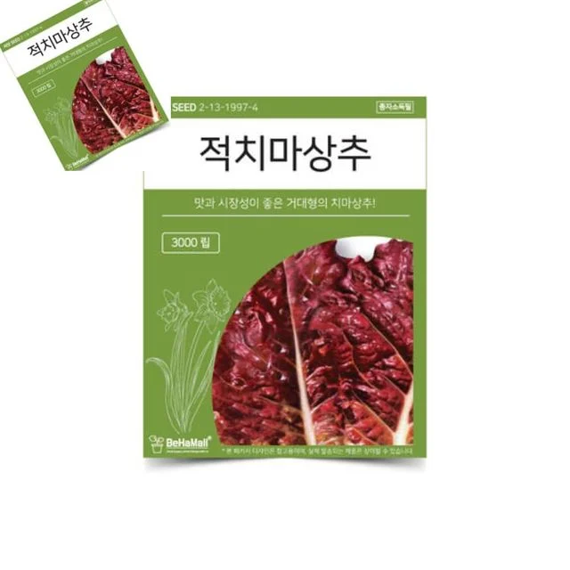 텃밭 채소 씨앗 적치마 상추 쌈채소씨앗 상추씨앗 상추종자 상추키우기