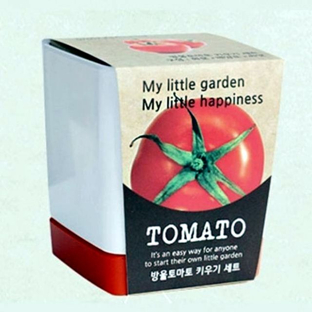 방울토마토 씨앗 - 홈가드닝 미니화분 식물키우기