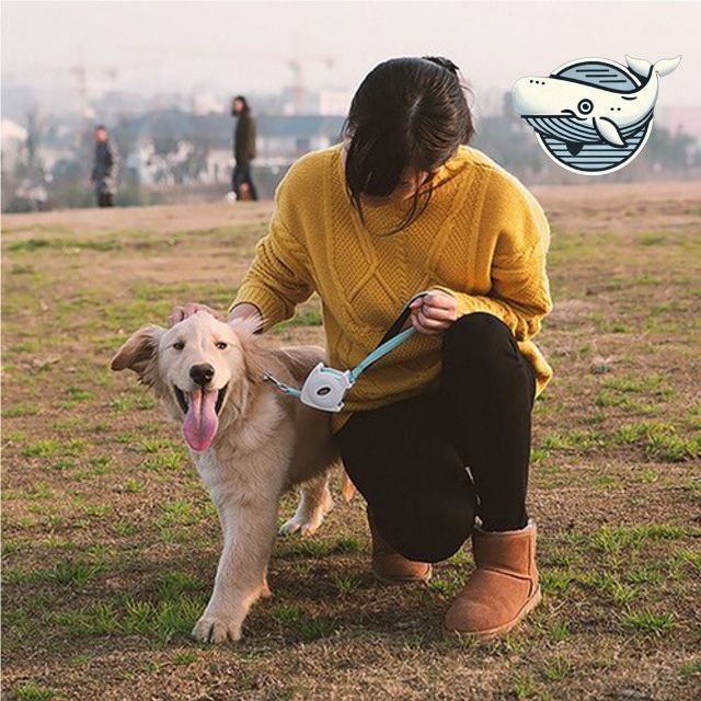 편안한 산책 이지 리드줄 L 애견 개목줄
