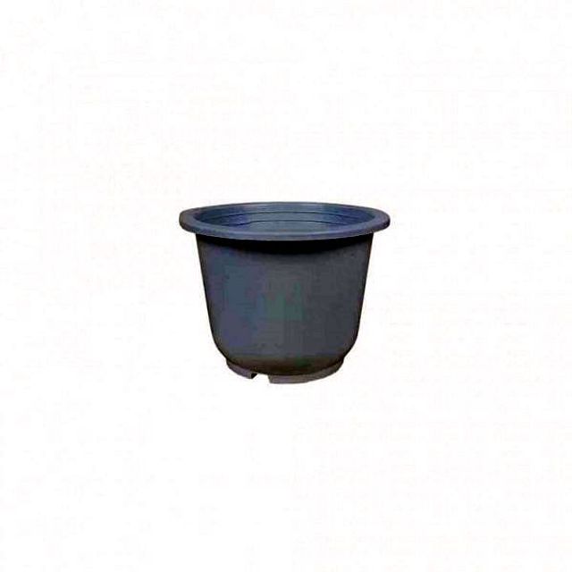 1개 10개 001 PTP 초화분 모종화분 3.5호 씨앗화분 50