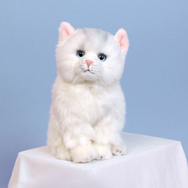 위더펫 리얼 고양이 인형 페르시안 친칠라 화이트