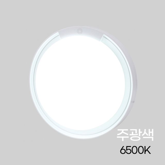 메가맨 벽등 LED 센서등 MEGA 원형 20W 주광 화이트 280mm IP65 KS