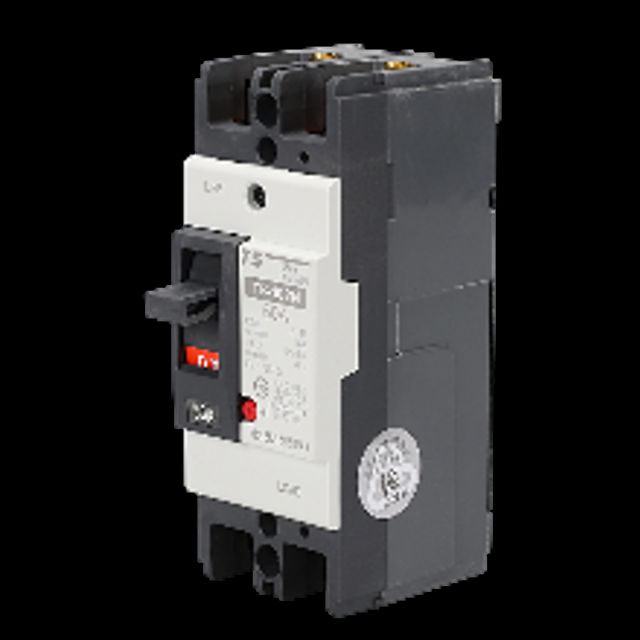 태성전기산업 TB 102N 2P 50A 배선차단기 MCCB 전기분전함용