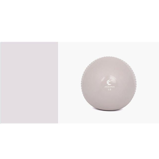 아이워너 소프트 토닝볼 1.5kg 문그레이 2개 x 1세트