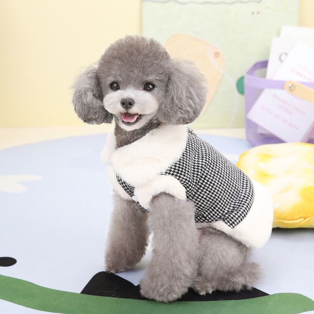 후스토리 하운드투스 하네스 무스탕 - 클래식한 강아지 외투