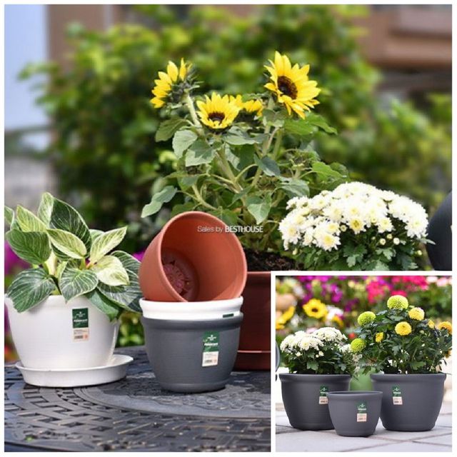 고강도 플라스틱 화분 미분 표준 3호 15x12cm 플라스틱화분 인테리어화분 정원용품 플라스틱화분다이