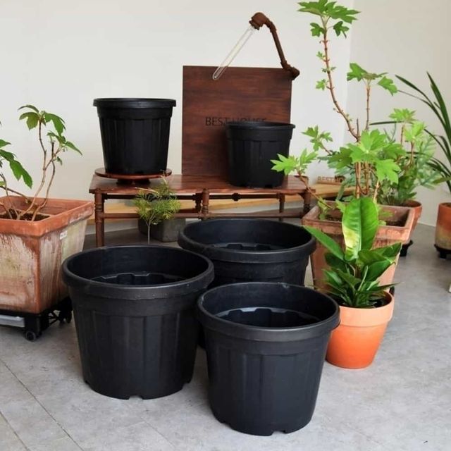 화분 고무 화분 55L 에메랄드그린화분 마지나타화분 회사화분