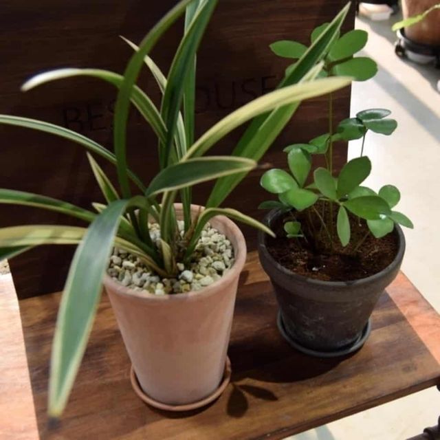 플라스틱 화분받침 150/180mm 원형화분받침대 화분물받이