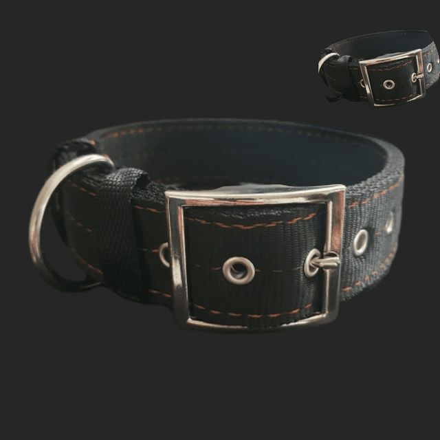 중대형견목줄 중형견목줄 개목줄 40mm 60cm