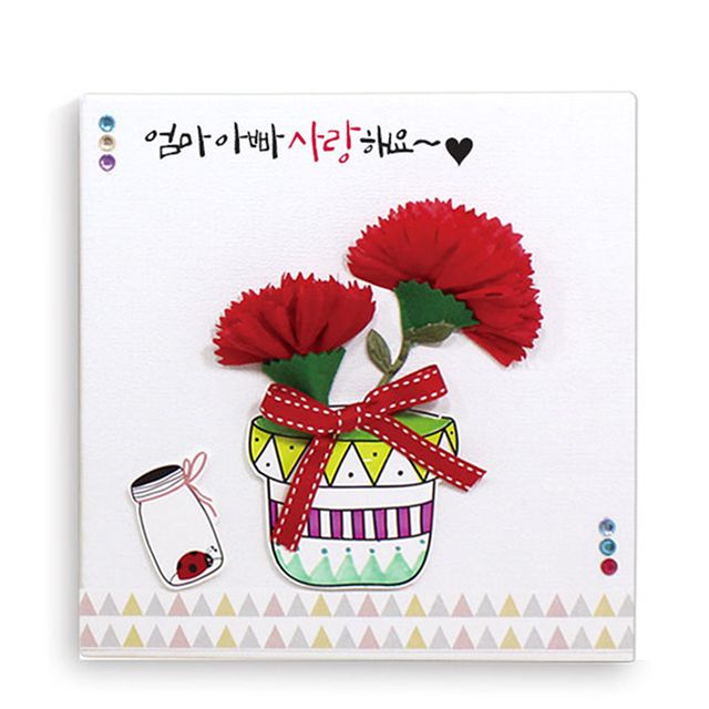 글로벌이지 카네이션 종이액자 1인전용포장