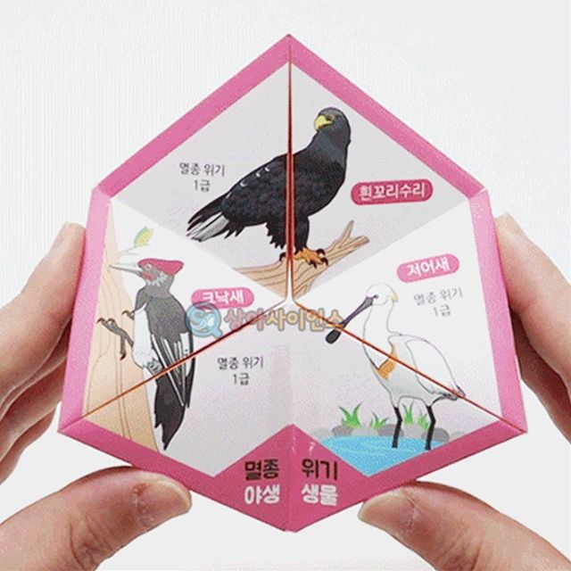 칼레이도사이클 5인 세트, 멸종위기 생물 미술 놀이 완구