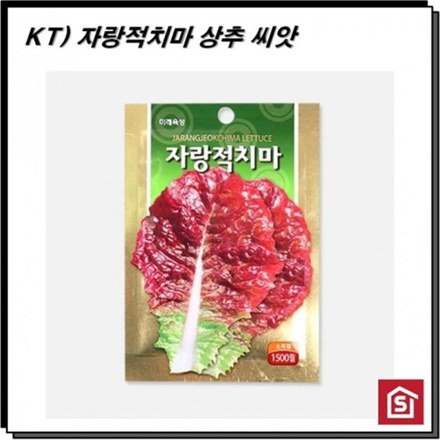 모종 텃밭 가꾸기 자랑적치마 씨앗 1500립 씨앗재배