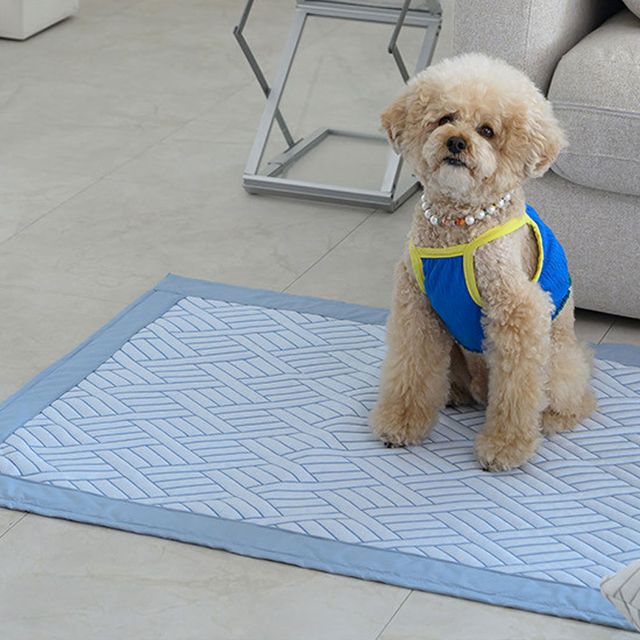 듀라론 3중직 냉감 소형패드 블루 70X120cm XS