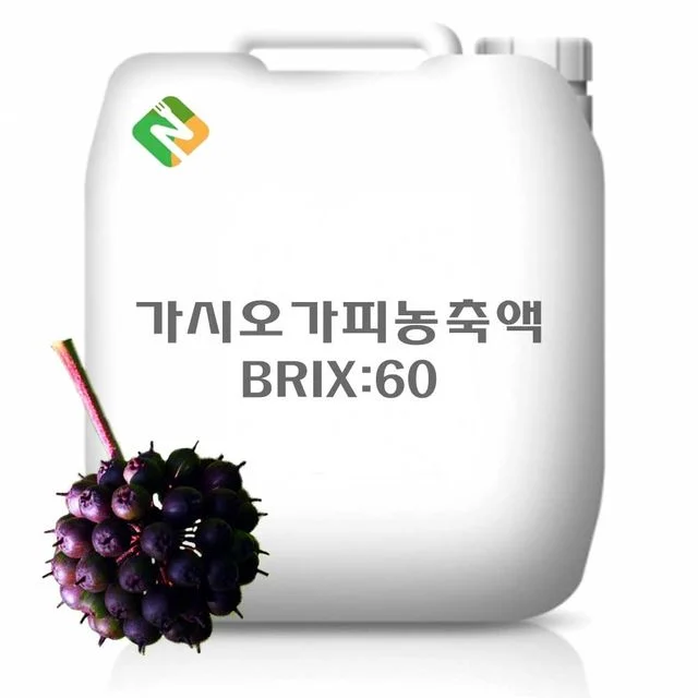 가시오가피농축액 20kg