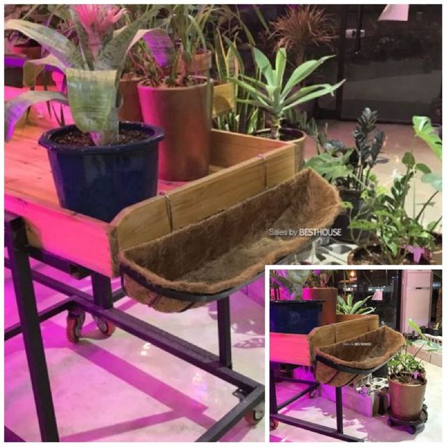 벽걸이형 코코넛 야자 행잉 바구니 중 62x20cm 행잉화분 걸이화분 공중식물 행잉식물
