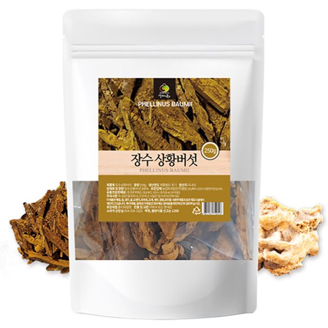 상황버섯 250g