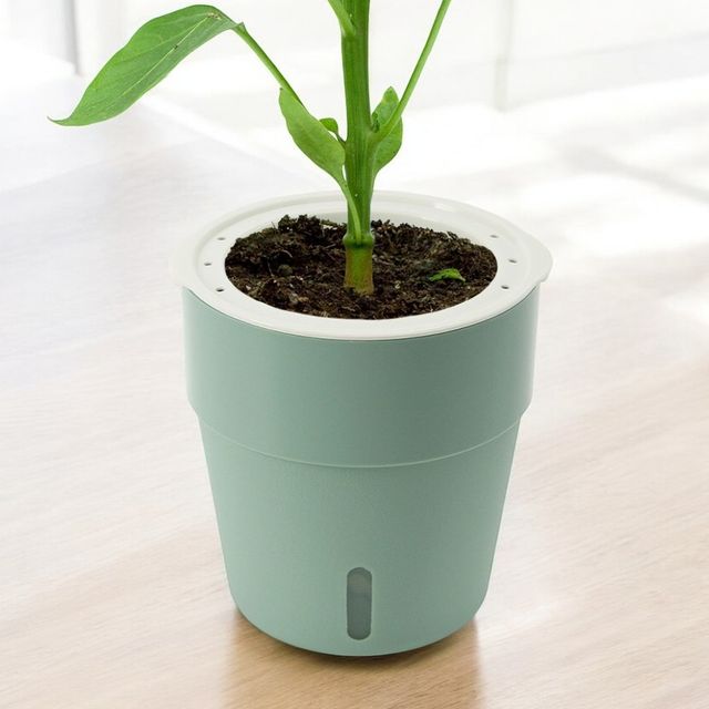 물공급 저면관수화분 자동급수 화분 5p세트 13x14cm 그린