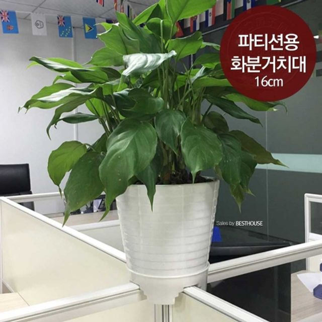 파티션용 화분 거치대 (바닥 지름 16cm용)