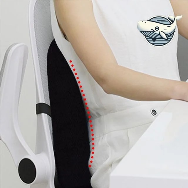 편안한 메쉬 허리받침 등받이 맞춤형 척추 쿠션