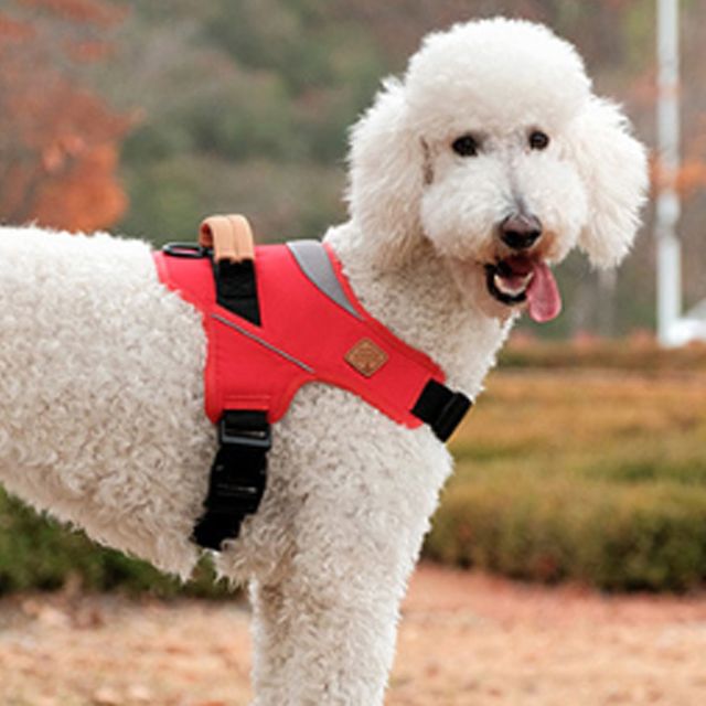 강아지 압력분산 하네스 레드 5XL 1P 산책 가슴줄