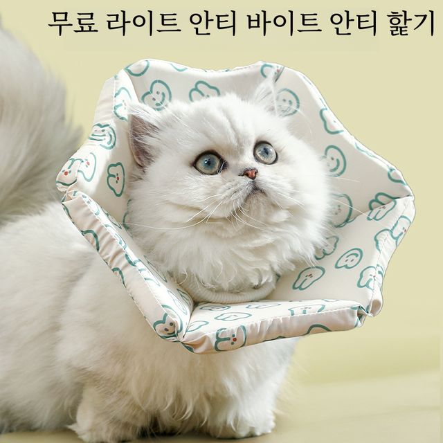 애완 동물 엘리자베스 칼라 조절 가능한 칼라 고양이