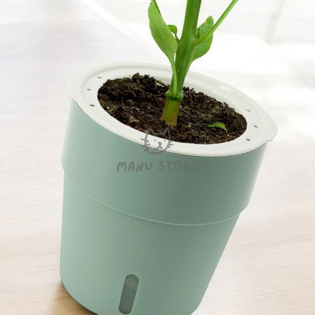 인테리어화분 화분자동급수기 자동급수 화분 5p세트 13x14cm 그린