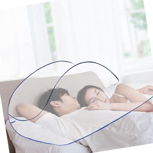 여름캠핑 텐트형모기장 2인용 캠핑 텐트 모기장 얼굴 보호용 미세 메쉬 방충망 낚시 야외취침
