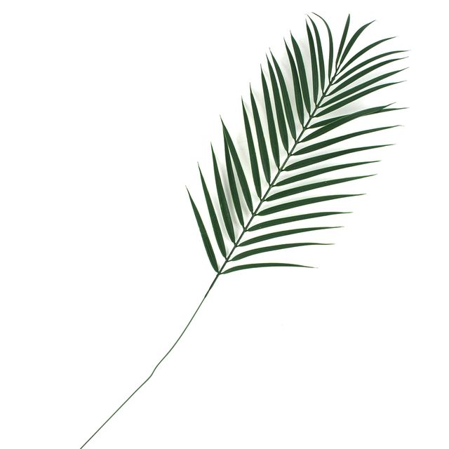 야자수 잎 조화
