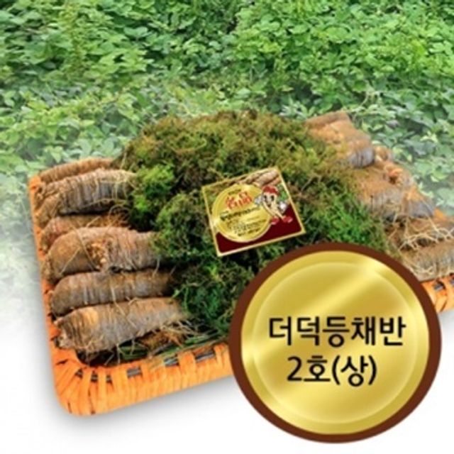 고씨네농가 생더덕 흙더덕 산더덕 더덕 더덕2호상