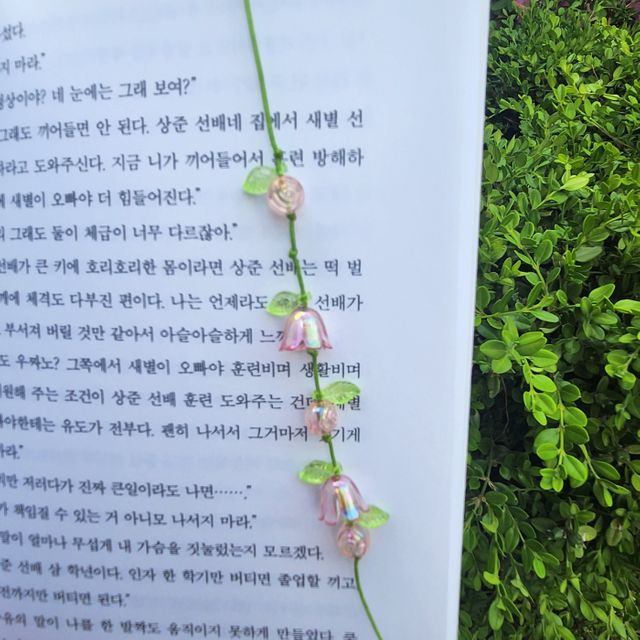 투명한 핑크빛 봄날 끈갈피