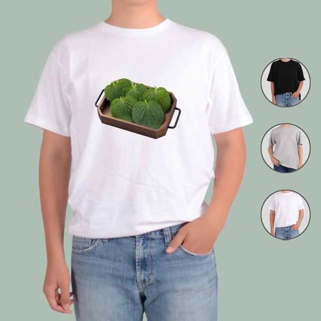 애쉬오트밀 반팔티 깻잎 디자인 티셔츠 SS