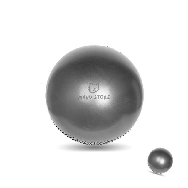 필라테스기구 요가볼 더블 짐볼 65cm