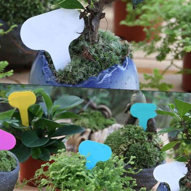 화분 이름표 20P 꽃이름표 꽃팻말