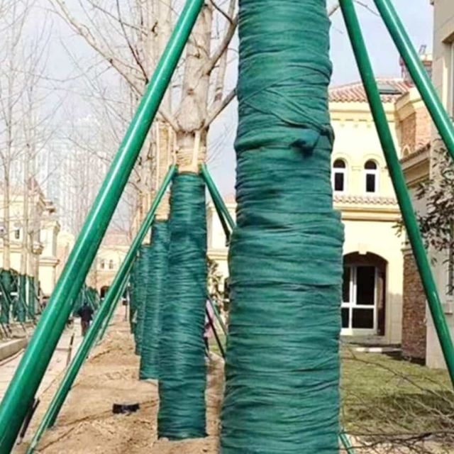 나무보온테이핑 나무감싸는거 식물 월동 준비 부직포