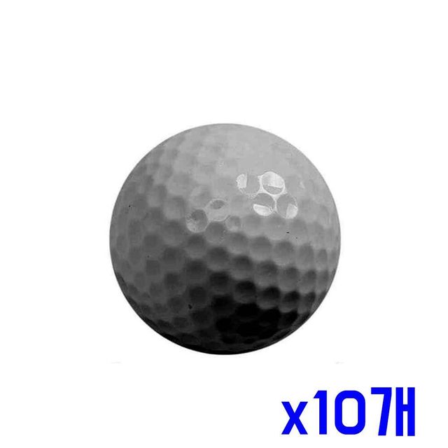 TBZ 단단한 플라잉 2피스 구조 골프공 x10개