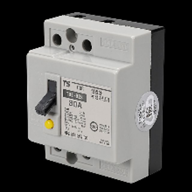 태성전기산업 산업용 누전차단기 TBE 32S 2P 30A 2.5kA