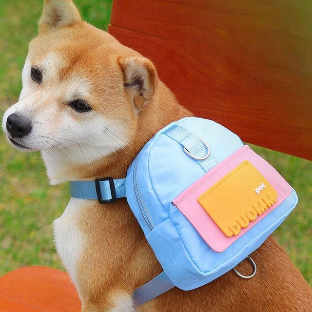 강아지 하네스가방 반려견가방 반려견배낭 소형견가방 강아지가방하네스