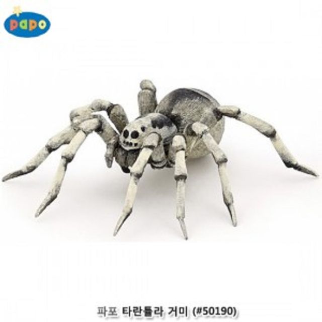 거미 모형완구 타란튤라 교구 피규어 장난감 수집품