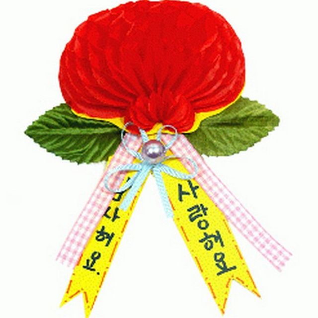 감사카네이션만들기