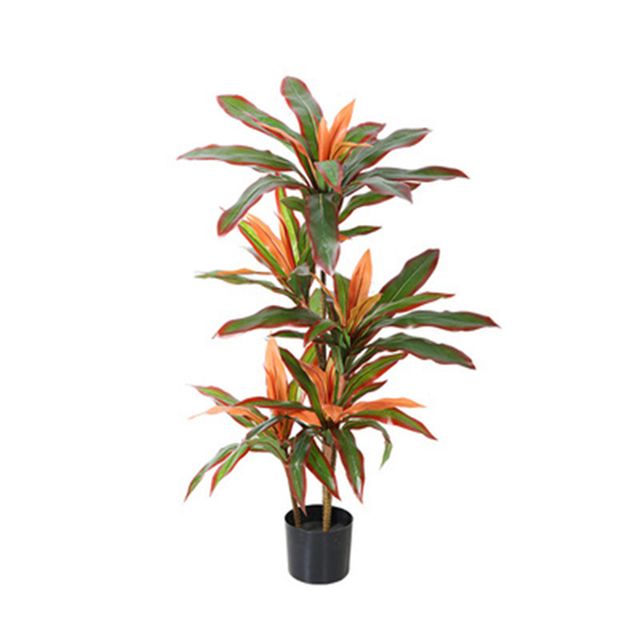 조화 120cm 드라세나